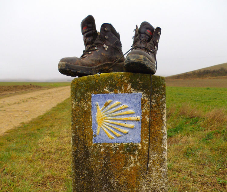 Imagen de Camino de Santiago Francés- Opción 1