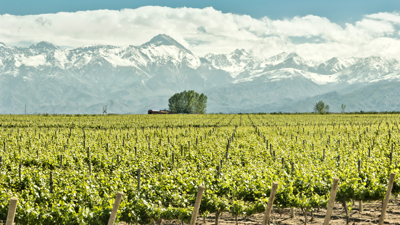 Imagen de Mendoza