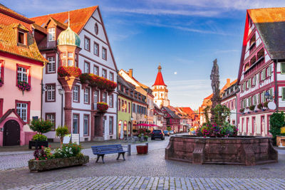Imagen de Selva Negra, Alsacia y Alemania Romántica