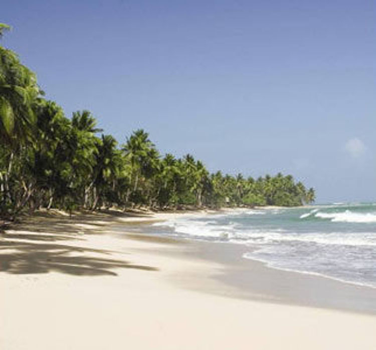 Imagen de Punta Cana - Vacaciones de Primavera - Cupos Confirmados - Latam