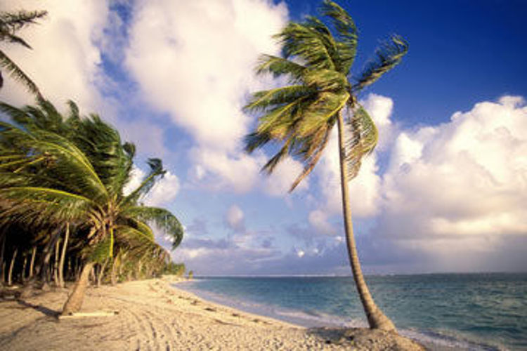 Imagen de Punta Cana - Vacaciones de Primavera - Cupos Confirmados - Latam