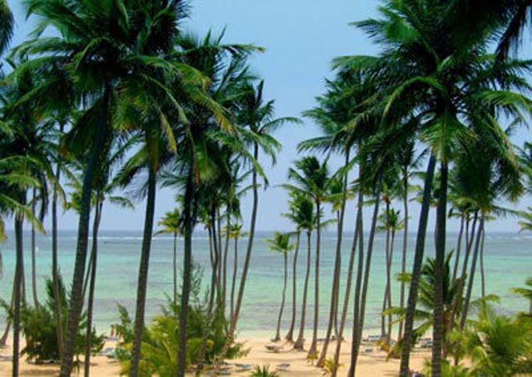 Imagen de Punta Cana - Vacaciones de Primavera - Cupos Confirmados - Latam