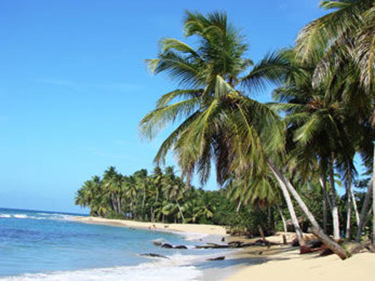 Imagen de Punta Cana - Vacaciones de Primavera - Cupos Confirmados - Latam