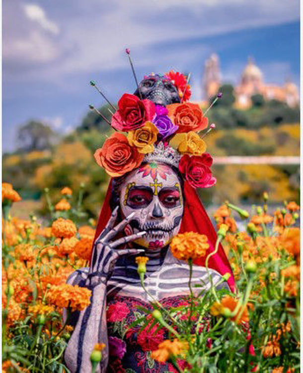 Imagen de Especial Día de Muertos en Michoacan  