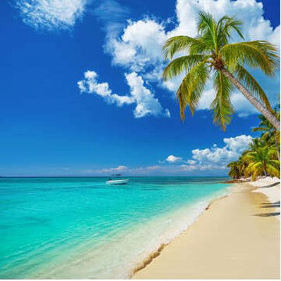 Imagen de Punta Cana con Stop en Panama - Baja Temporada - Copa Vacations 