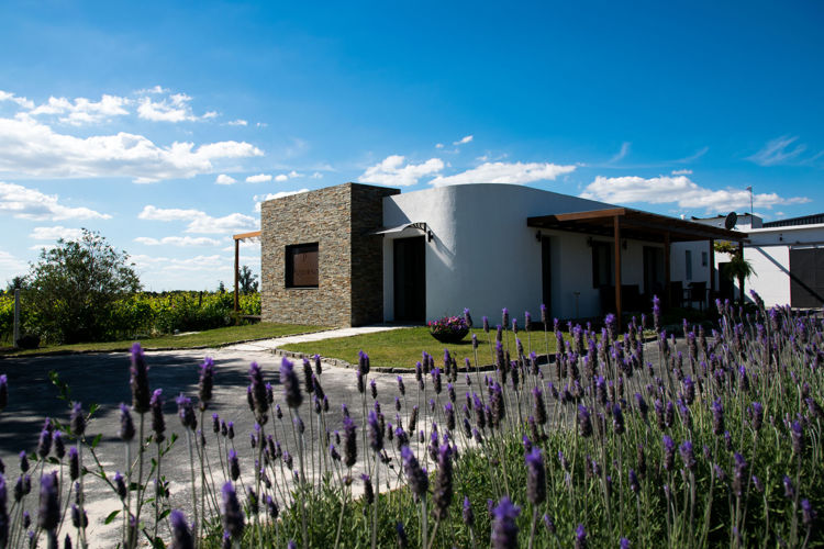 Imagen de Todo para Disfrutar Pizzorno Lodge & Wine - Turismo Nacional 