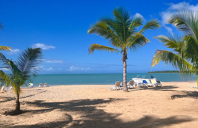 Imagen de Miches con Stop en Panama - Baja Temporada - Copa Vacations 