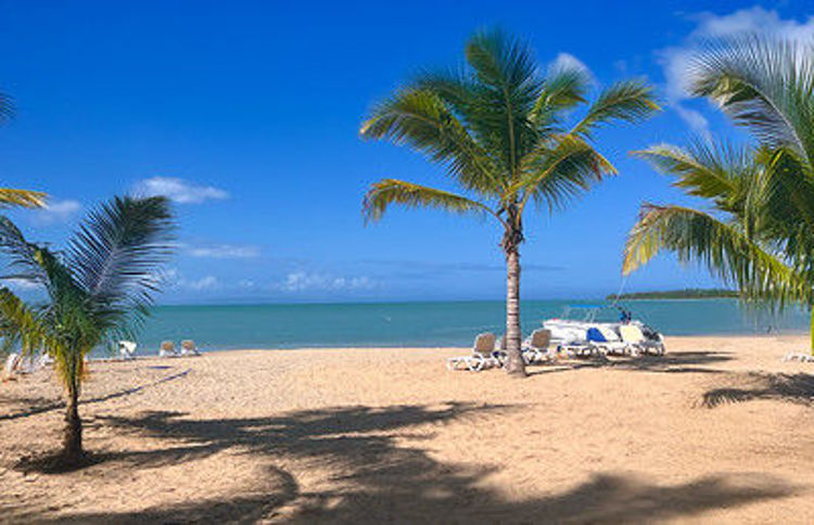 Imagen de Miches con Stop en Panama - Baja Temporada - Copa Vacations 