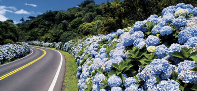 Imagen de Gramado y Canela · Dos maneras de vivirlo