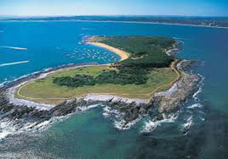 Imagen de Navegación por Isla Gorriti - Turismo Receptivo (Paquete Neto)