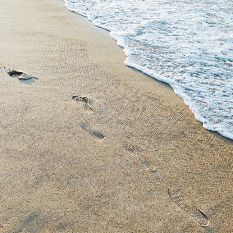 Imagen de Florianopolis - A Toda Diversion