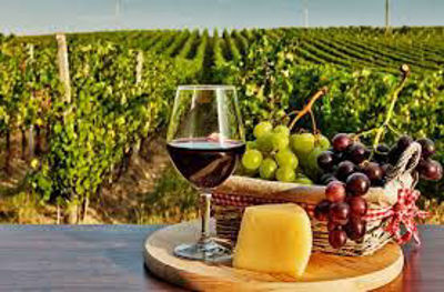 Imagen de Montevideo Ciudad y Viñedos - Turismo Receptivo (Paquete Neto)