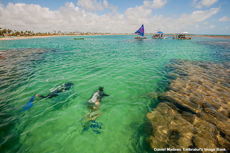 Imagen de Porto de Galinhas