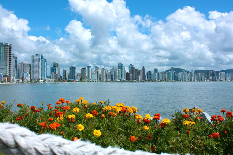 Imagen de Camboriú
